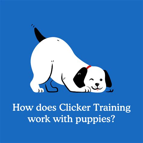 Clicker Training For Puppies Zigzag Puppy Training App