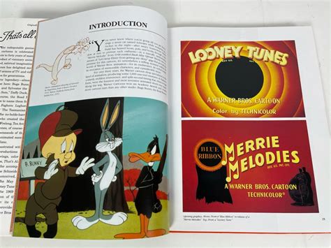 The Art Of Warner Bros Animation Coffee Table Book By Steve Schneider