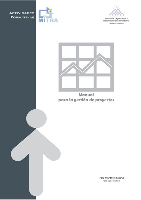 Pdf Manual Para La Gestión De Proyectos Juan Carlos Toro