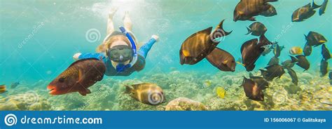 Happy Woman In Snorkeling Mask Dive Underwater With Tropical Fishes In