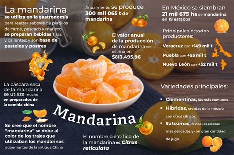 Algo Que Debes Saber De La Mandarina Revista La Campiña