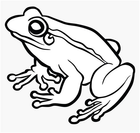 Frog Graphics Png Amphibian Clipart Black And White Transparent Png