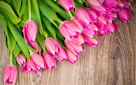 Bouquet Flowers Pink Tulips Wood Board 2560x1600