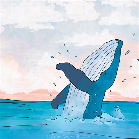 Whale Jumping Out Of Water Drawing Synthiadelzell