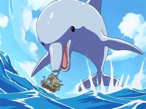 Dolphins In Anime Anime Amino