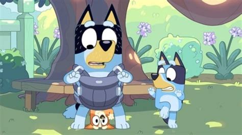 The Best Bandit Episodes From Bluey