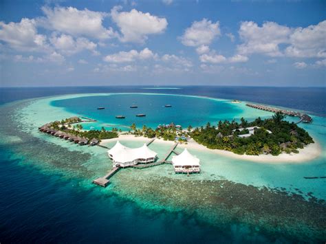 Maybe you would like to learn more about one of these? Safari Island Resort and Spa | Maldives.com