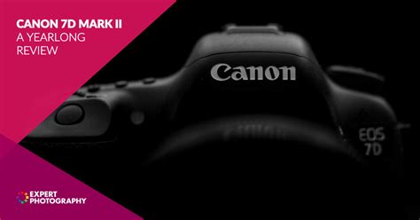 Canon 7d Mark Ii A Yearlong Review Still A Good Camera