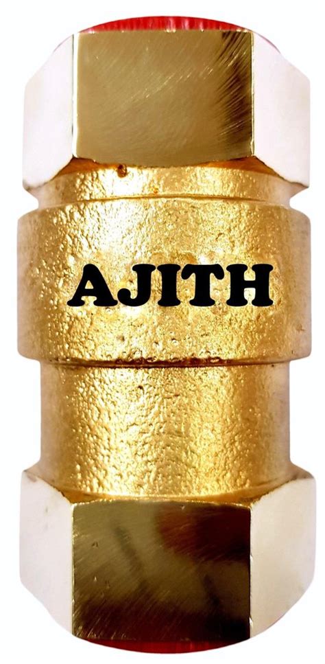 AJITH Brass Vertical Check Valve Size 25 Mm At Rs 215 Piece In