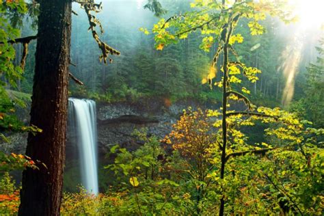 Oregon Has The Best Fall Foliage In The Country