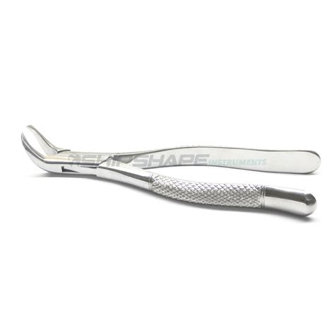 23 Extracting Forceps Cowhorn 23 1st And 2nd Lower Molar Extraction