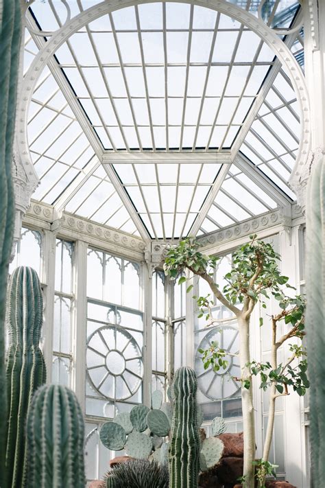 All styles of plants from indoor plants to garden trees, natives and exotics, small to the very large. The History of the Humble House Plant