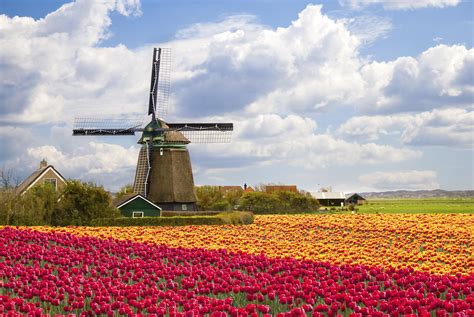 The 10 Best North Holland Tours And Trips 2018 Tourradar
