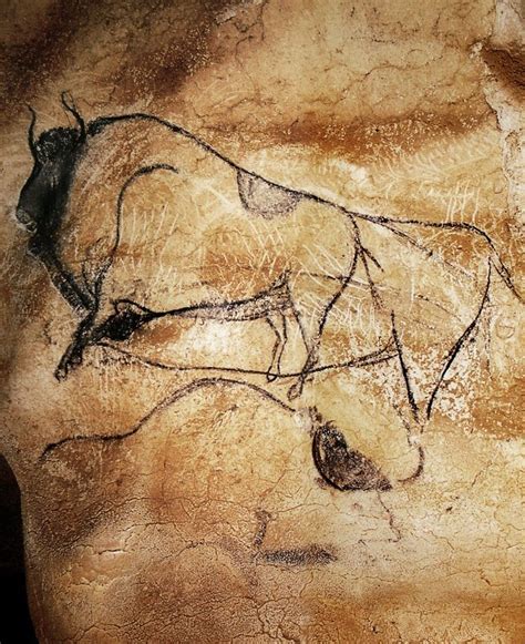 30000 Year Old Paintings On The Walls Of The Chauvet Caves Will Leave