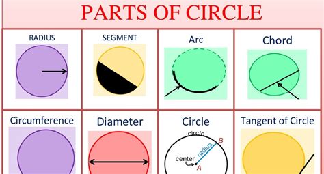 Parts Of A Circle Math Examples Parts Of A Circle Images