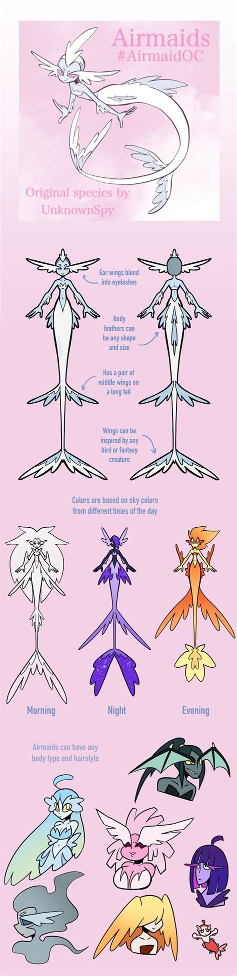 Airmaid Open Species Reference Sheet By Unknownspy On Deviantart
