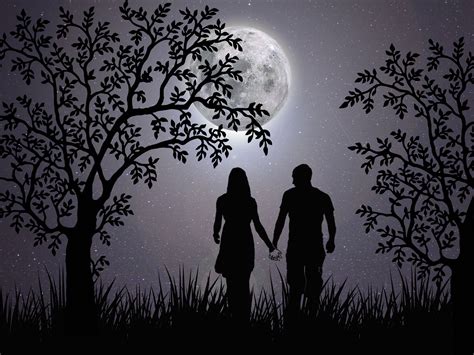 Free Images Love Romantic Night Together Feelings Couple Silhouette Moon Fantasy