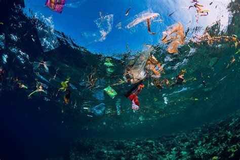 What Is The Great Pacific Garbage Patch Skyewater Photo Film