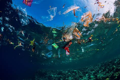 What Is The Great Pacific Garbage Patch Skyewater Photo Film