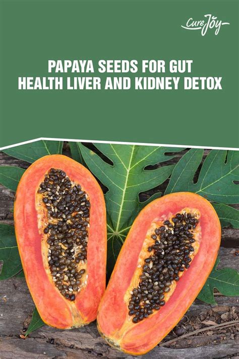 Papaya Seeds Benefits For Gut Health Liver And Kidney Detox Health