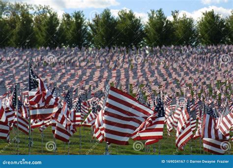 United States Flags For Fallen Heroes I Stock Image Image Of