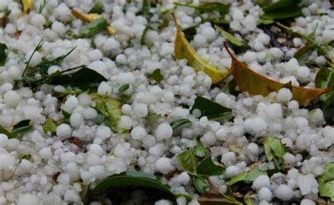 Temperature, in arrivo un boom di caldo e… Maltempo, grandine sul Veronese - Corriere Veneto
