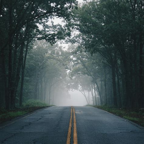 Foggy Road Images Kaggle