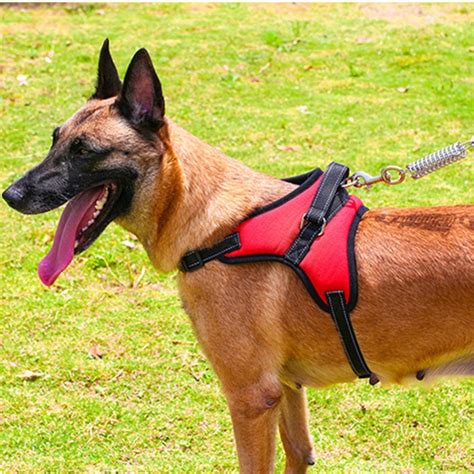 Nylon Heavy Duty Dog Pet Harness Collar Adjustable Padded Extra Big