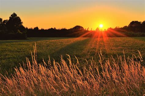 Sunray Across Green Grass Field · Free Stock Photo