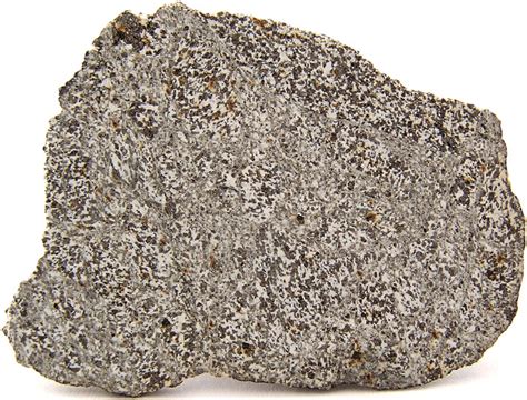 Unusual Meteorite Features Nwa 3147 With Plagioclase Laths Visible In