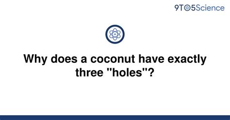 Solved Why Does A Coconut Have Exactly Three Holes 9to5science