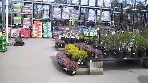 I've seen how lowes wasted money and told regional vp's. Plants at Lowe's - YouTube