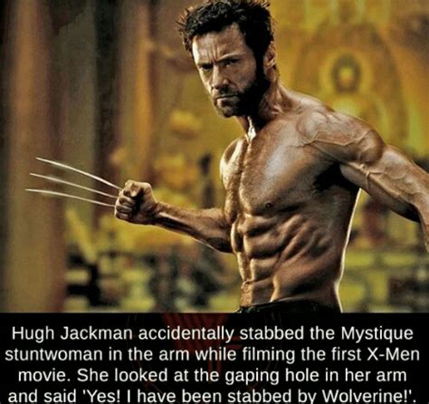 X Men Memes Wolverine 6 Marvel Funny Superhero Facts X Men