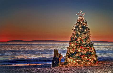 2400x1567 Good Christmas Tree At The Beach Part 8 Christmas At The