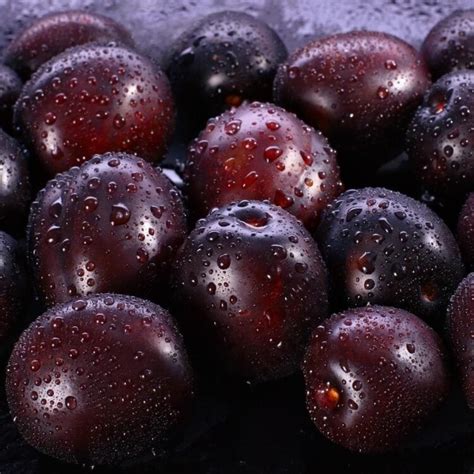 22 Types Of Plums Different Varieties Insanely Good
