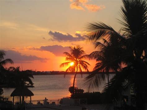 Sunset From Balcony Picture Of Key Largo Bay Marriott
