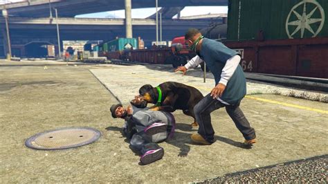 Franklin's dog chop in grand theft auto 5 use the character wheel to select chop as your character (when available) you can also play fetch with chop by choosing the tennis ball from your inventory. How to Call Chop on GTA 5: Guide on 100% Gold Medal for ...