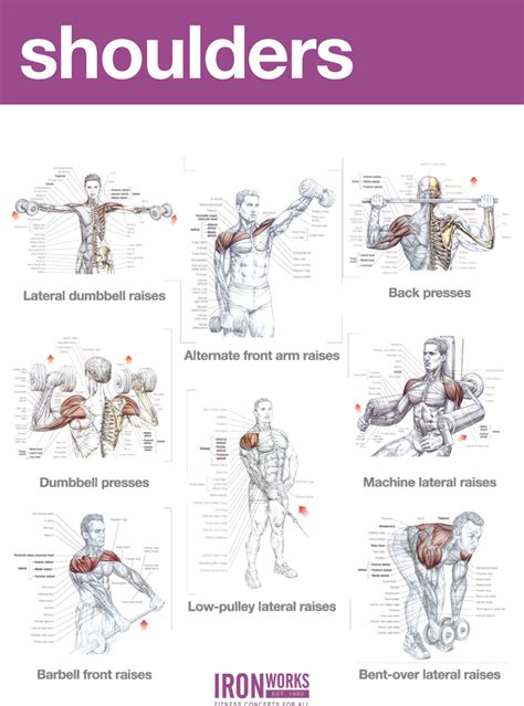 Blogarticleabs And Shoulders Workout Examples 41 Iron Works