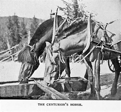 Oberammergau 1890 The Centurionss Horse A Portrait Of Canada