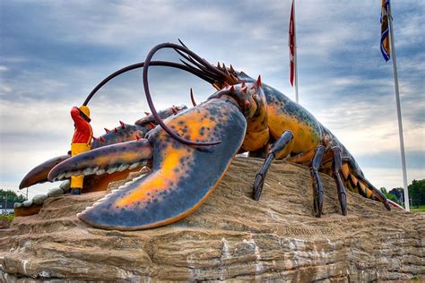 Giant Lobster 1 Shediac Giant Lobster Largest Lobster