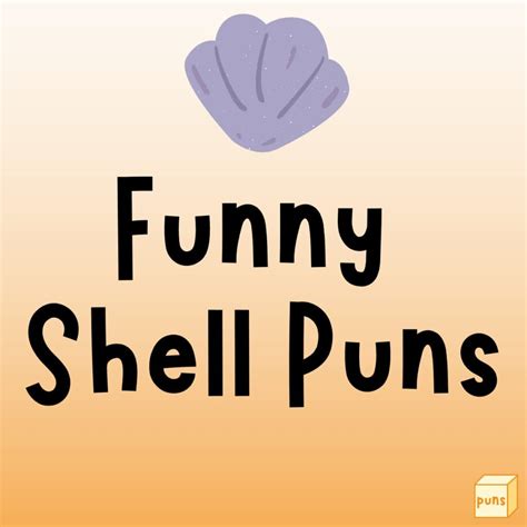 105 best shell puns that are shell arious box of puns