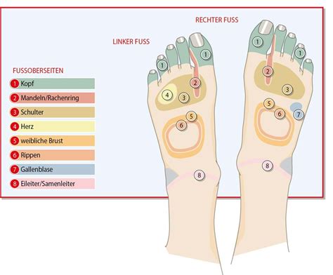 Fußreflexzonen Heilsame Massage Onmedade Fußreflexzonen Gesundheit Energiearbeit