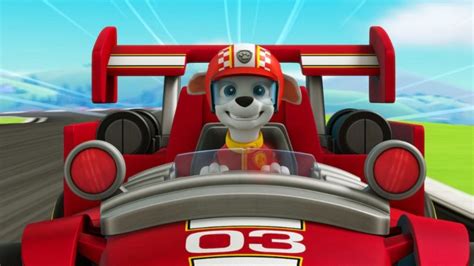 Paw Patrol Ready Race Rescue Review — A Race To The Bottom Times2