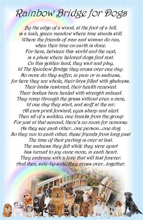 Just this side of the rainbow bridge there is a land of meadows, hills and valleys with lush green grass. rainbow bridge pet poem printable - Google Search ...