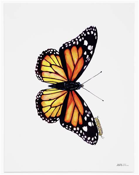 Monarch Butterfly Painting