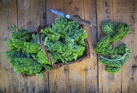 Grow Your Own Kale The Seeds To Order When To Plant Them And When