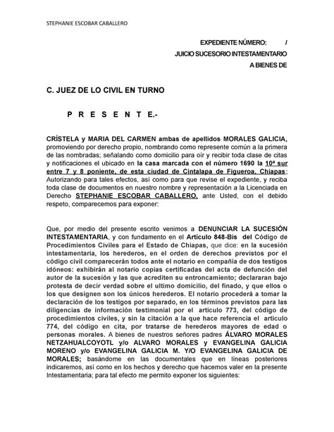 Descubrir 51 Imagen Modelo De Demanda De Juicio Sucesorio