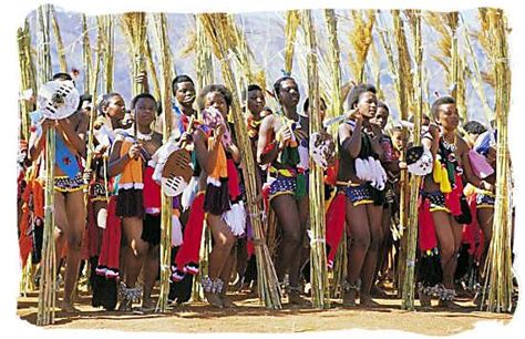 South African Folk Dance African Dance South African Traditional