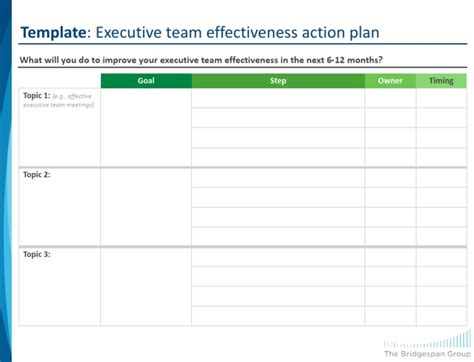 Action Planeffective Executive Team Effectivenesstemplatepdf Pdf