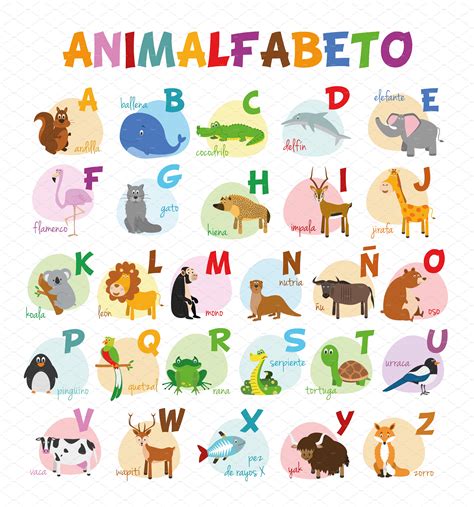 Spanish Animal Alphabet Vector Animal Illustrations ~ Creative Market